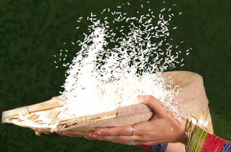 Don't Feed the Hungry Image